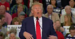 Donald Trump Slammed After Mocking Disabled Reporter