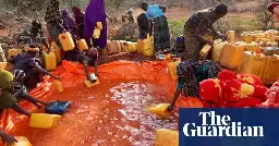 Raising cash for water: why Somalis are bypassing aid agencies in drought crisis