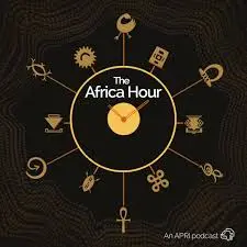 The Africa Hour - Episode 6: The Cost of Connecting - Can Cameroon Catch up?