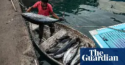 EU accused of ‘neocolonial’ plundering of tuna in Indian Ocean