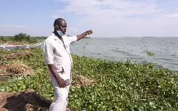 Fisherman’s fight to save Lake Victoria bears results