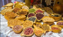 Whose interest does the Kenyan seeds law protect?